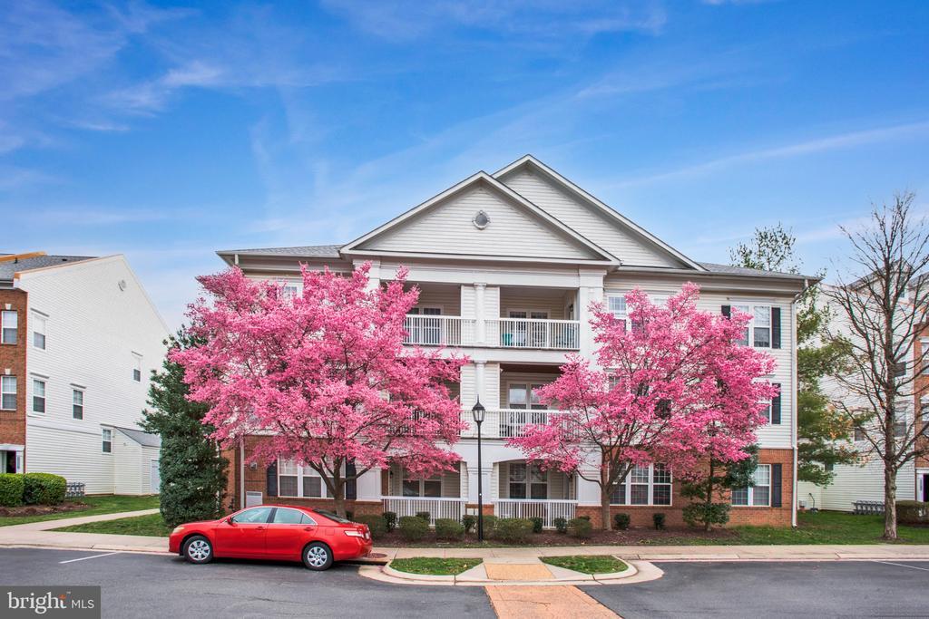 Foto principal - 42480 Rockrose Square