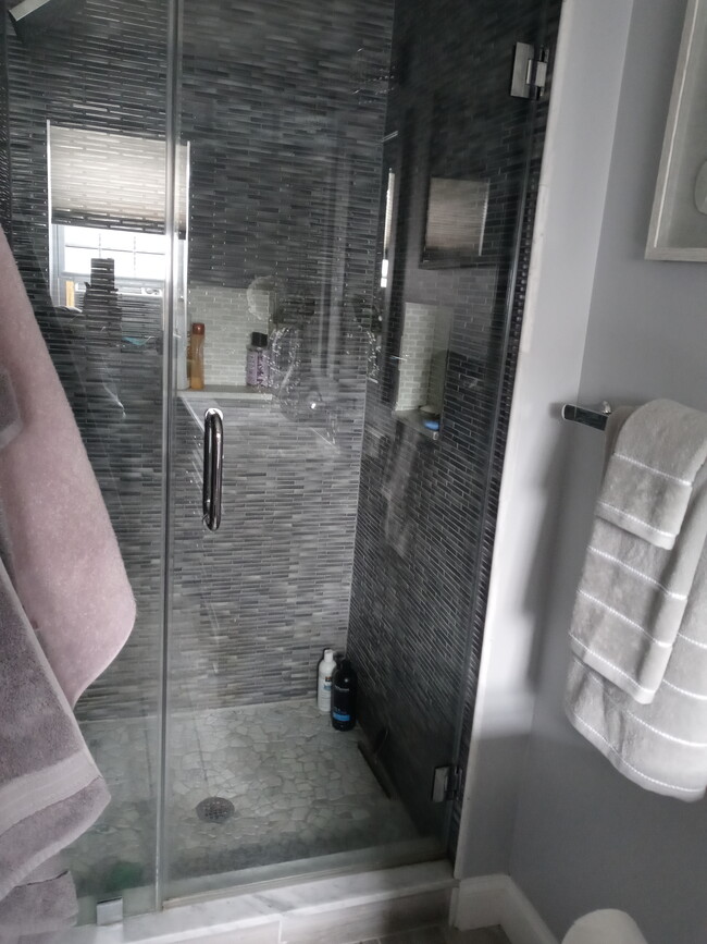 Master bath.. walk in..stand inup shower - 315 Newark Ave