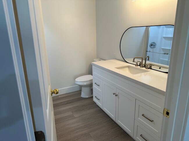 New Vanity and toilet - 308 Hillside Cir