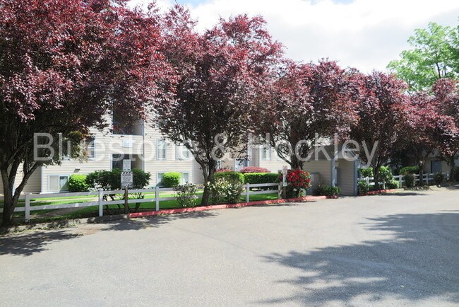 Foto del edificio - 6067 SW Beaverton Hillsdale Hwy