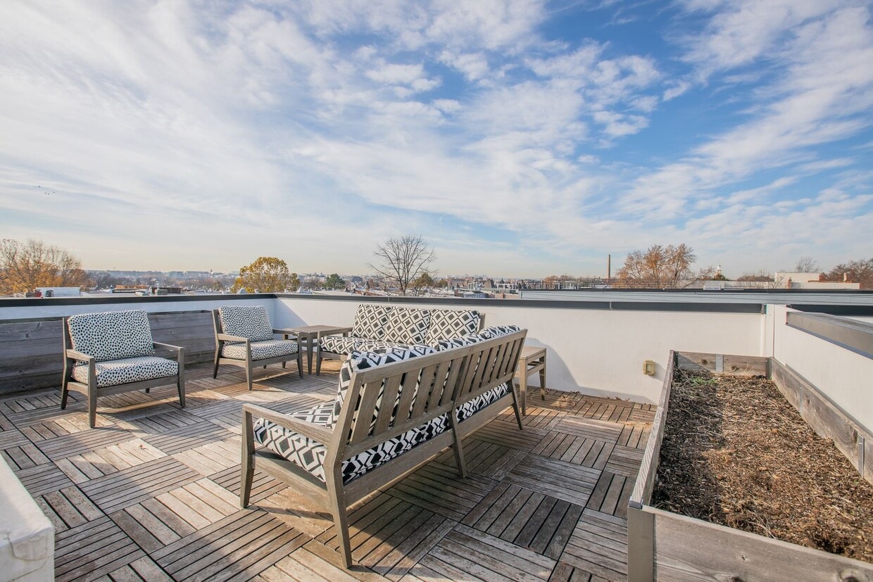 Primary Photo - Amazing 4 BR/4 BA Townhome in Bloomingdale!