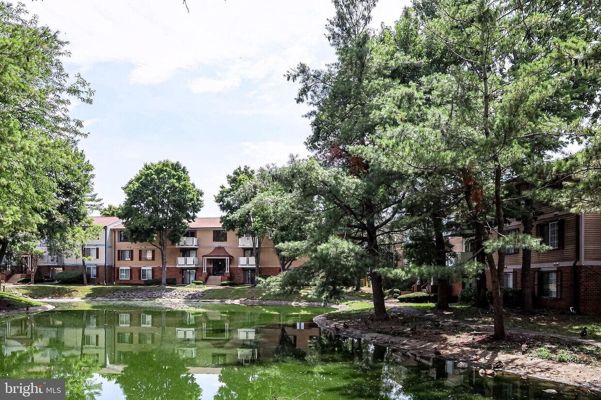 8357 Claremont Woods Dr Unit M, Alexandria, VA 22309 Condo for Rent