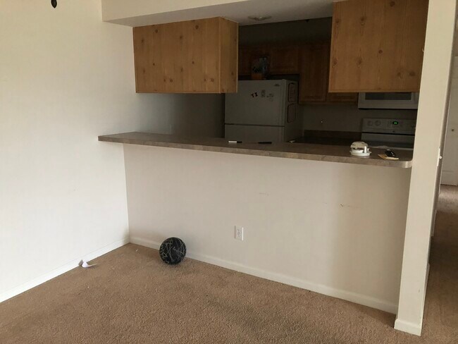 Building Photo - 1010 Carom Cir