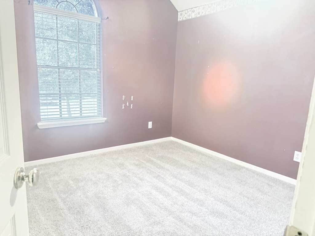 Building Photo - 12319 Jersey Meadow Dr