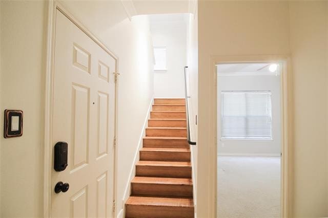 Foto del edificio - 5014 Calloway Dr