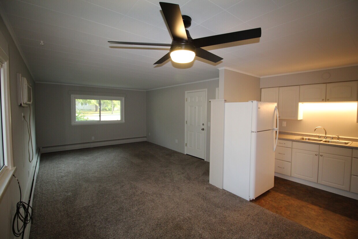 630 W 1st St Unit 1, Chaska, MN 55318 Apartments in Chaska, MN