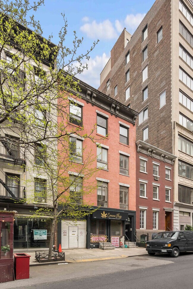 Foto del edificio - 257 W 19th St