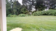 This outdoor space presents a beautifully maintained landscape characterized by a broad, neatly trimmed lawn that stretches across the grounds, offering an open and inviting area for recreation or relaxation. The lawn is framed by a rich backdrop of mature deciduous trees, their full canopies providing generous shade and a sense of enclosure. Dense shrubs and natural undergrowth line the perimeter, adding layers of texture and depth to the landscape. Wildflowers and naturalized plantings are visible among the greenery, contributing to a setting that feels both cultivated and organically wild. The overall ambiance is one of tranquility and seclusion, with the mature tree line creating a natural privacy buffer. The space benefits from an open sky above the lawn area, allowing for ample natural light to illuminate the grounds. A glimpse of a stone or concrete structure is partially visible through the treeline, hinting at additional features within the surrounding landscape. The single-level nature of this outdoor environment makes it highly accessible, while the generous scale of the lawn area provides versatile open space suitable for a wide range of outdoor activities.