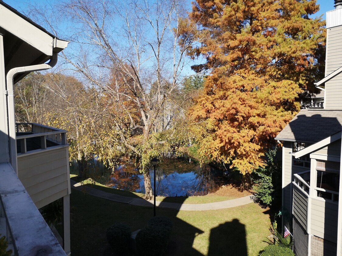 Beautiful view from the deck - 2535 Stockbridge Dr