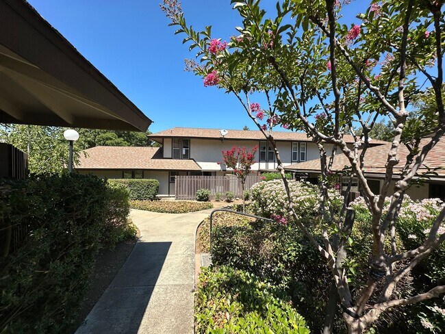 2 Bed 1.5 Bath #B Unit In Roundtree - 2 Bed 1.5 Bath #B Unit In Roundtree Apartment