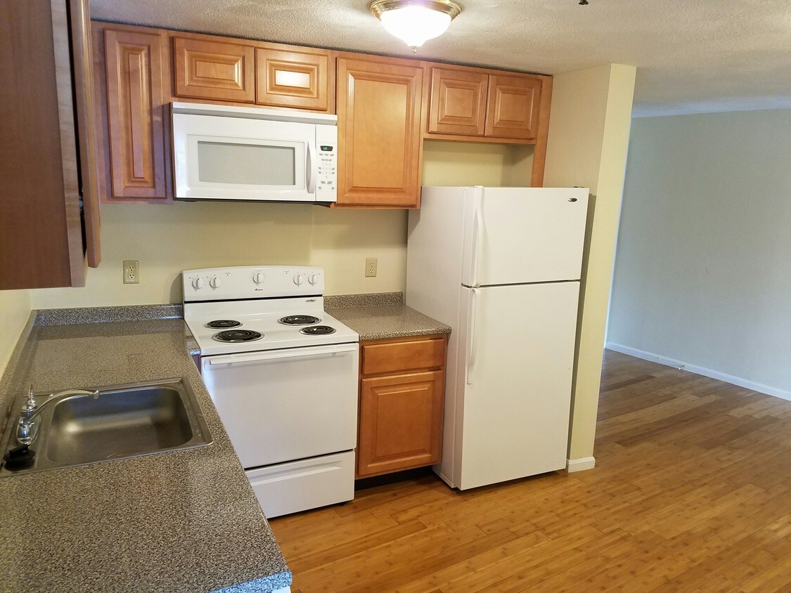 71 Pitcairn St, Revere, MA 02151 Townhome Rentals in Revere MA