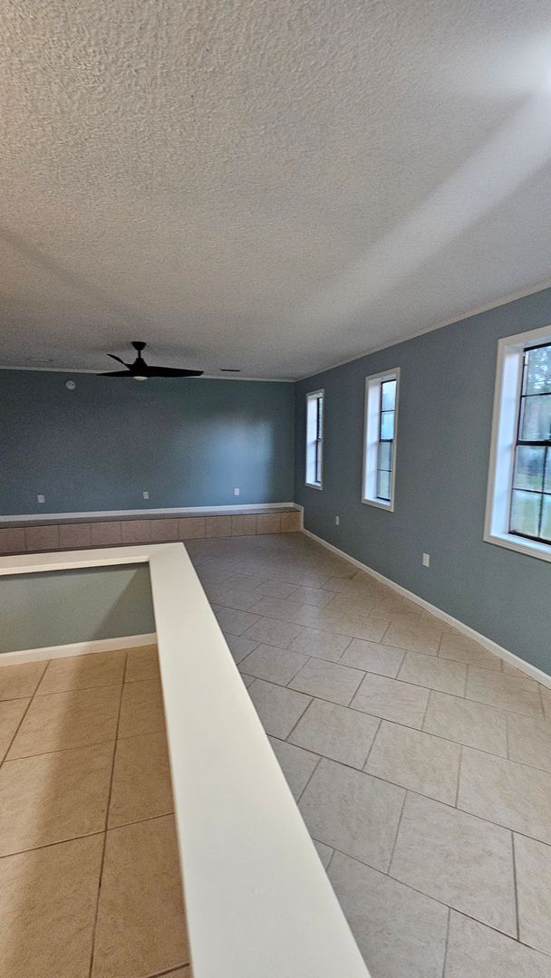 Building Photo - Beautiful 4BR 2BA home in Lakeland, GA