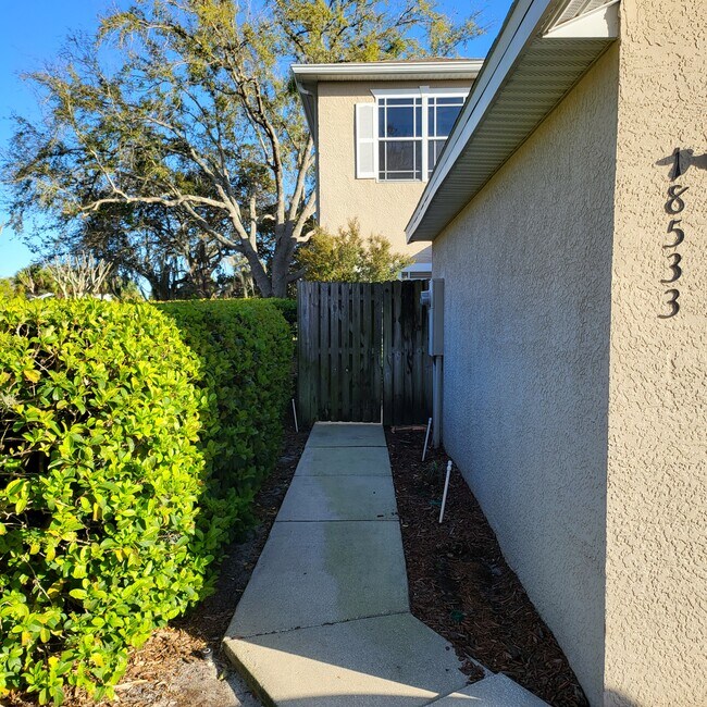 18533 Pebble Lake Ct, Tampa, FL 33647 Townhome Rentals in Tampa FL