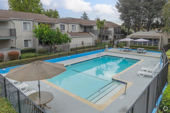 Pool - Windsor Garden Apartments