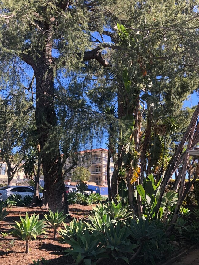 street view - 792 Alameda St