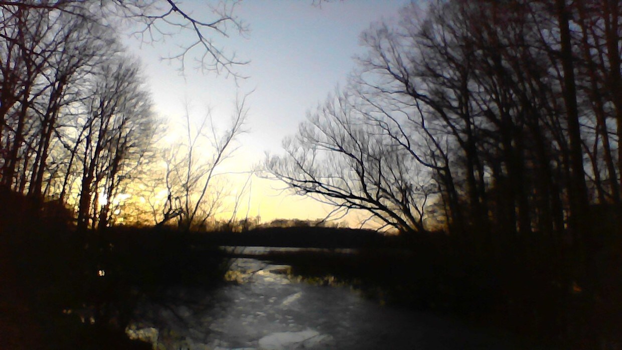 11208 Oak Dr, Delton, MI 49046 House Rental in Delton, MI