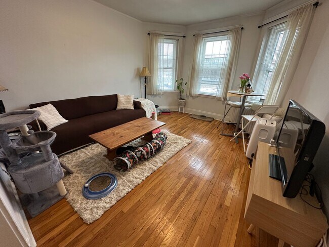 Photo - Close to Whole Foods - T Stop - Large Living Room - Natural Sun Light Apartment