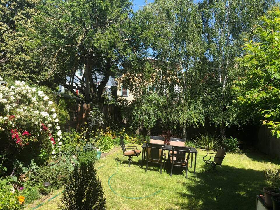 Sunny Garden (shared with owners upstairs) - 6618 Dover St.