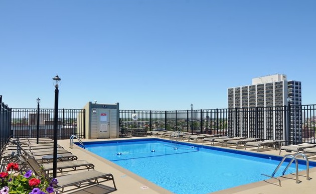 Rooftop pool - 450 W Briar Plz Apartment