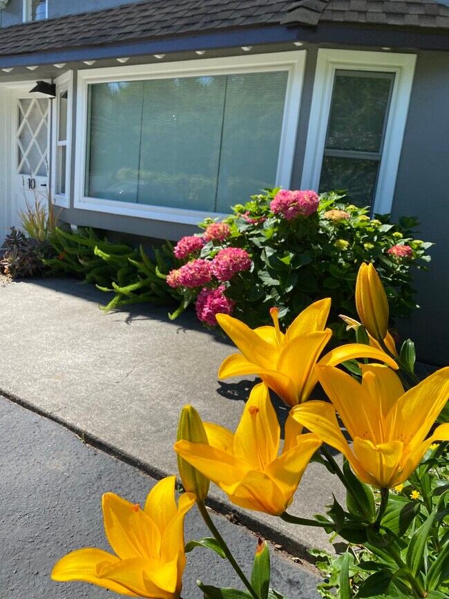 Building Photo - 300 Poplar St