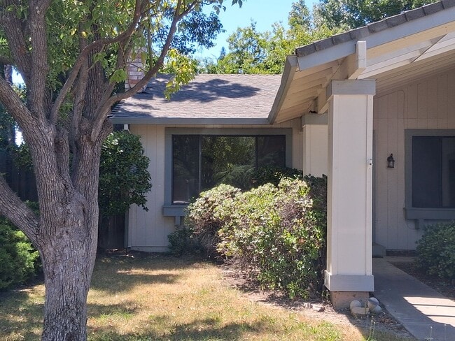 Building Photo - Newer Centrally Located Beauty!