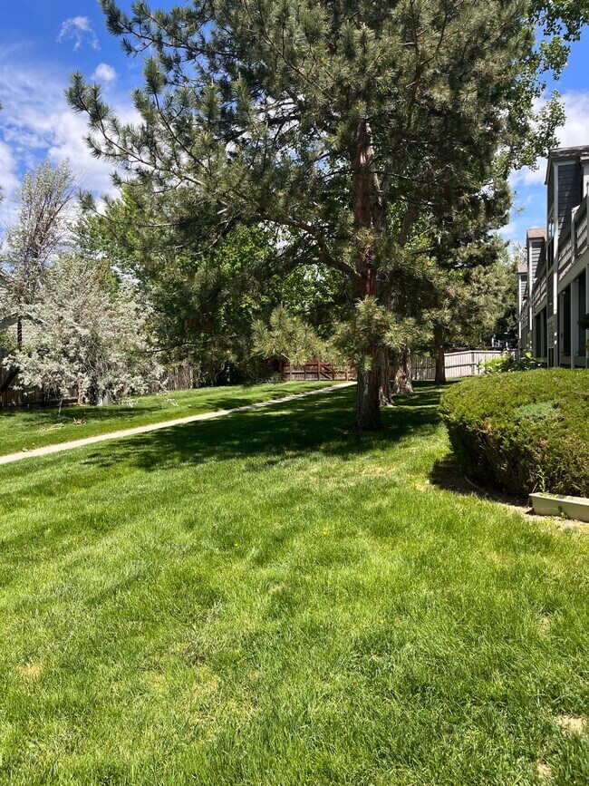 Green Area - 7447 Spy Glass Ct