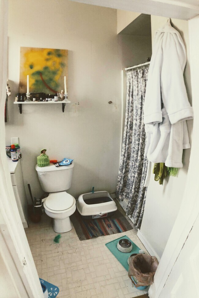 Bathroom - 511 N Meadow St