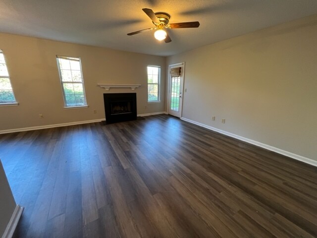 Foto del edificio - 4208 Edith Ln