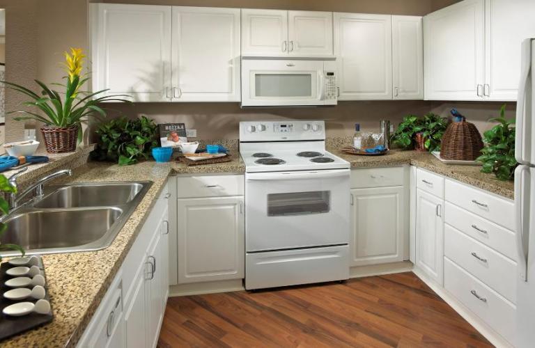 Foto principal - 310 Elan Village Ln