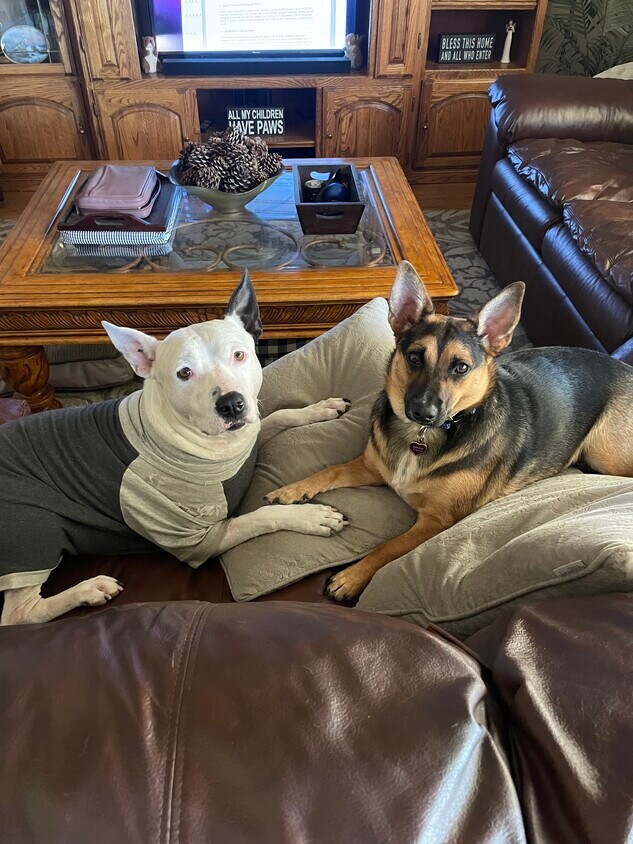 6241 Hillside Dr, Yorba Linda, CA 92886 House Rental in Yorba Linda