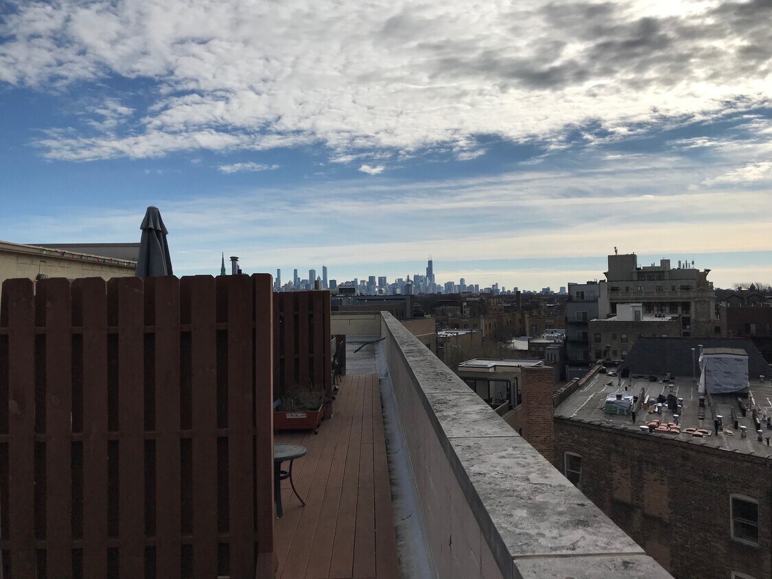 Skyline view from Deck - 1645 W School St