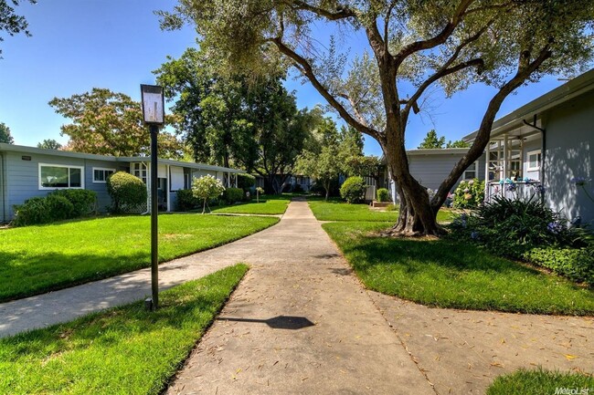 Building Photo - 2 bedroom Condo in Santa Paula Manor!