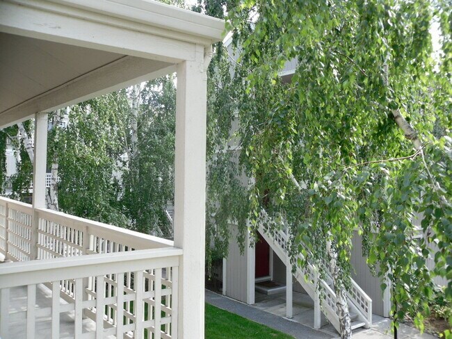 Jardines - 2701 Oak Rd