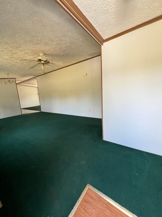 Foto del edificio - 15 Bark Dr