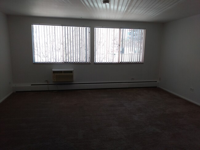 spacious living area - Briarwood Apartment Homes