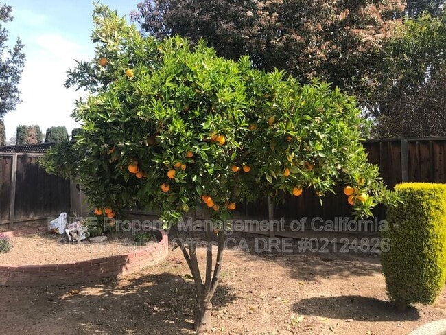 Photo - 4858 Tampico Way House