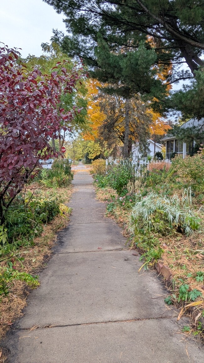 Acera frente a la casa. - 5244 41st Ave S