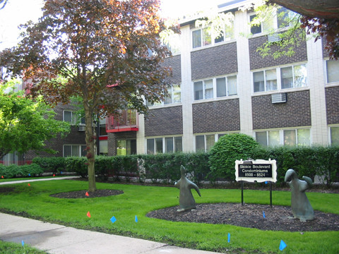 Foto principal - 8500 Skokie Blvd