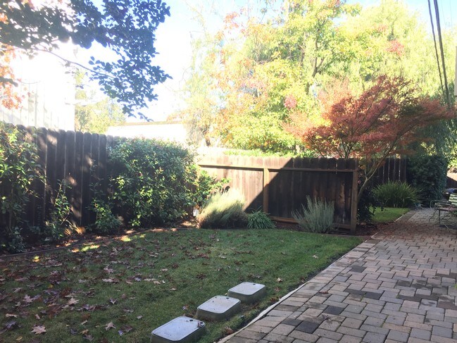 backyard - 31 Kent Pl