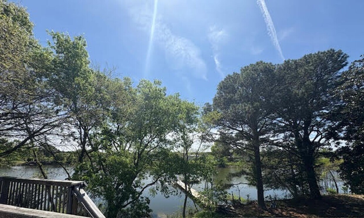 Primary Photo - Beautiful Waterfront 1-bedroom 1- bath fur...
