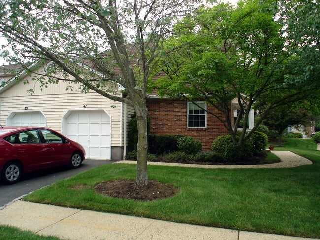 Foto del edificio - 41 Canterbury Rd