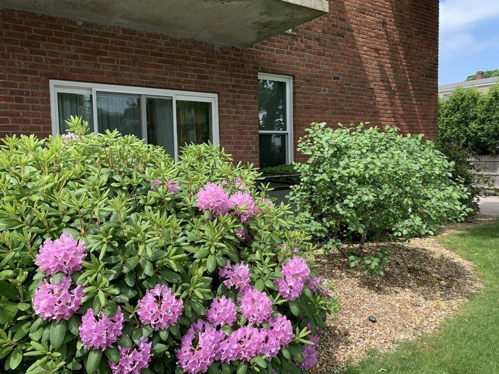 57 Broadlawn Park Unit 26, Boston College, MA 02467 Condo for Rent in