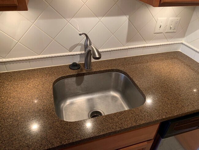 Deep kitchen sink for added convenience when washing dishes. Notice the lights under the cabinets. - 3366 Woodburn Rd