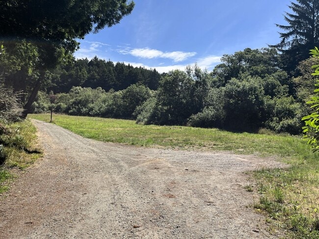 Building Photo - Pet-Friendly Private Home On Large Lot With Detached Garage!