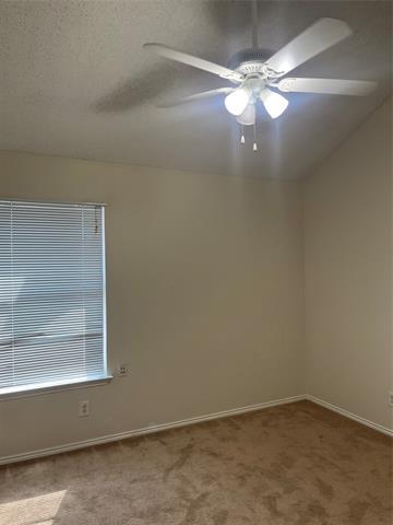 Foto del edificio - 803 Bluebonnet Dr