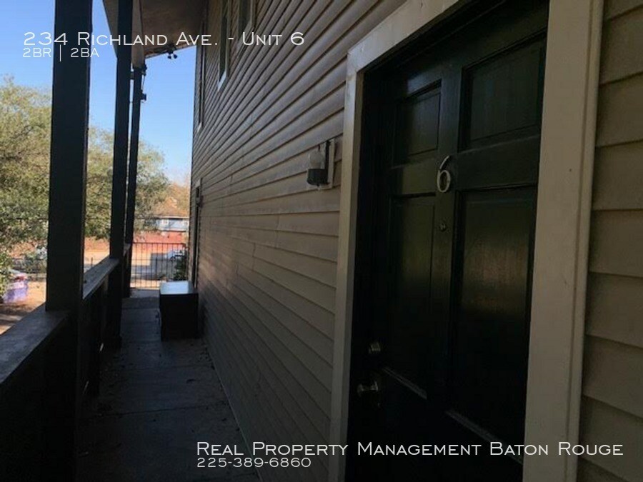 Primary Photo - Great Apartment off Government!