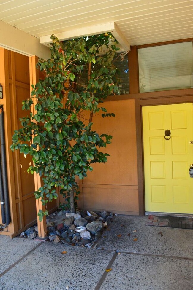Building Photo - Comfortable Mid Century Modern Home with B...