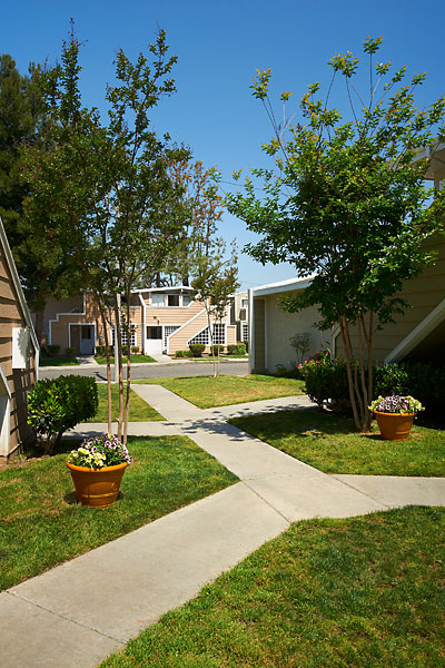 Foto del edificio - Park Vista Apartment Homes