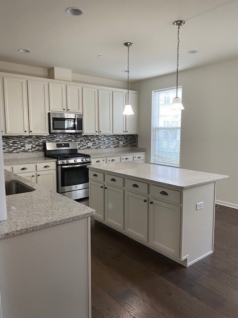 Building Photo - 823 Paisley Ct