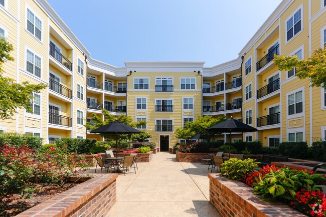 Courtyard - Live Oak Apartments LLC Ashley Square